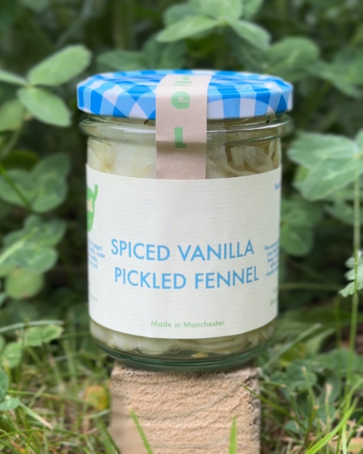 Spiced Vanilla Pickled Fennel