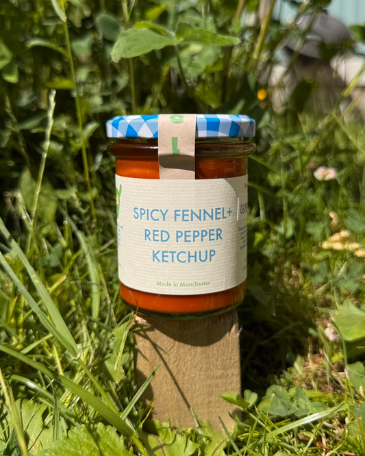 Spicy Fennel + Red Pepper Ketchup